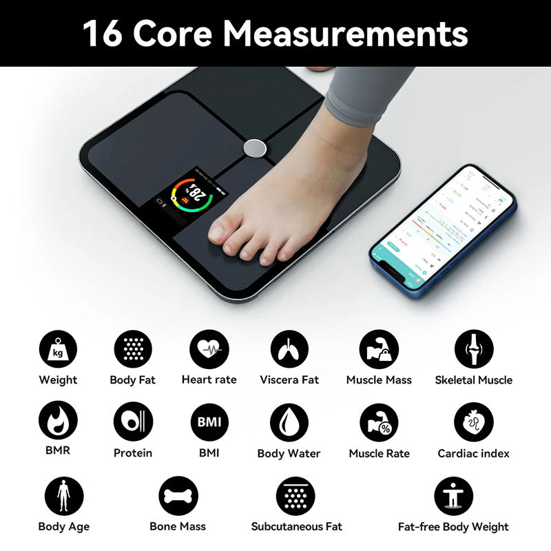 MediWares Smart Scale with Body Weight and Fat Percentage